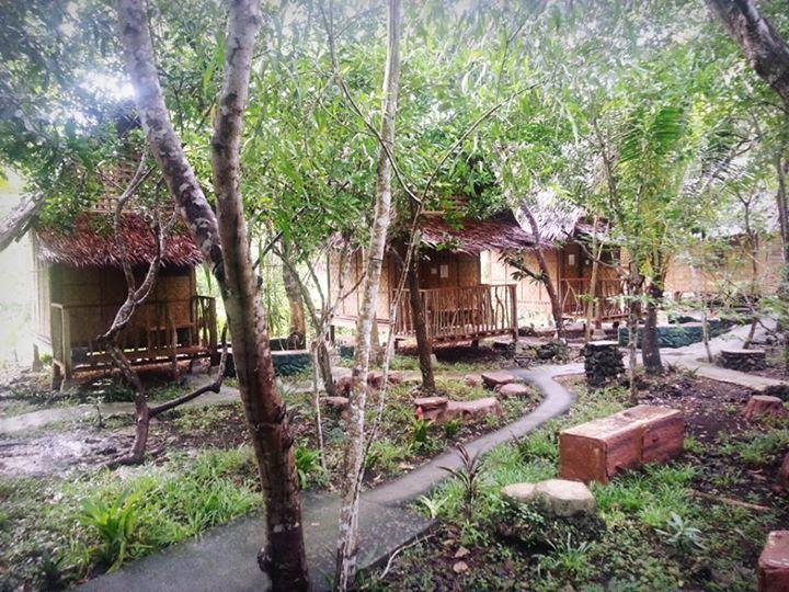 Bohol Coco Farm Hostel Đảo Đảo Panglao Ngoại thất bức ảnh